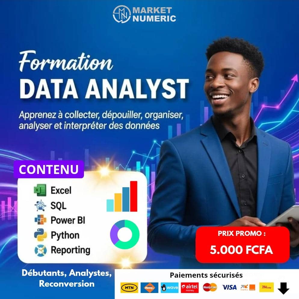 Formation Data Analyst